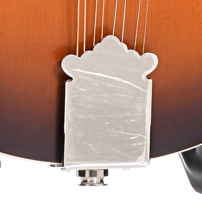 tailpiece of Fender PM-180E Mandolin