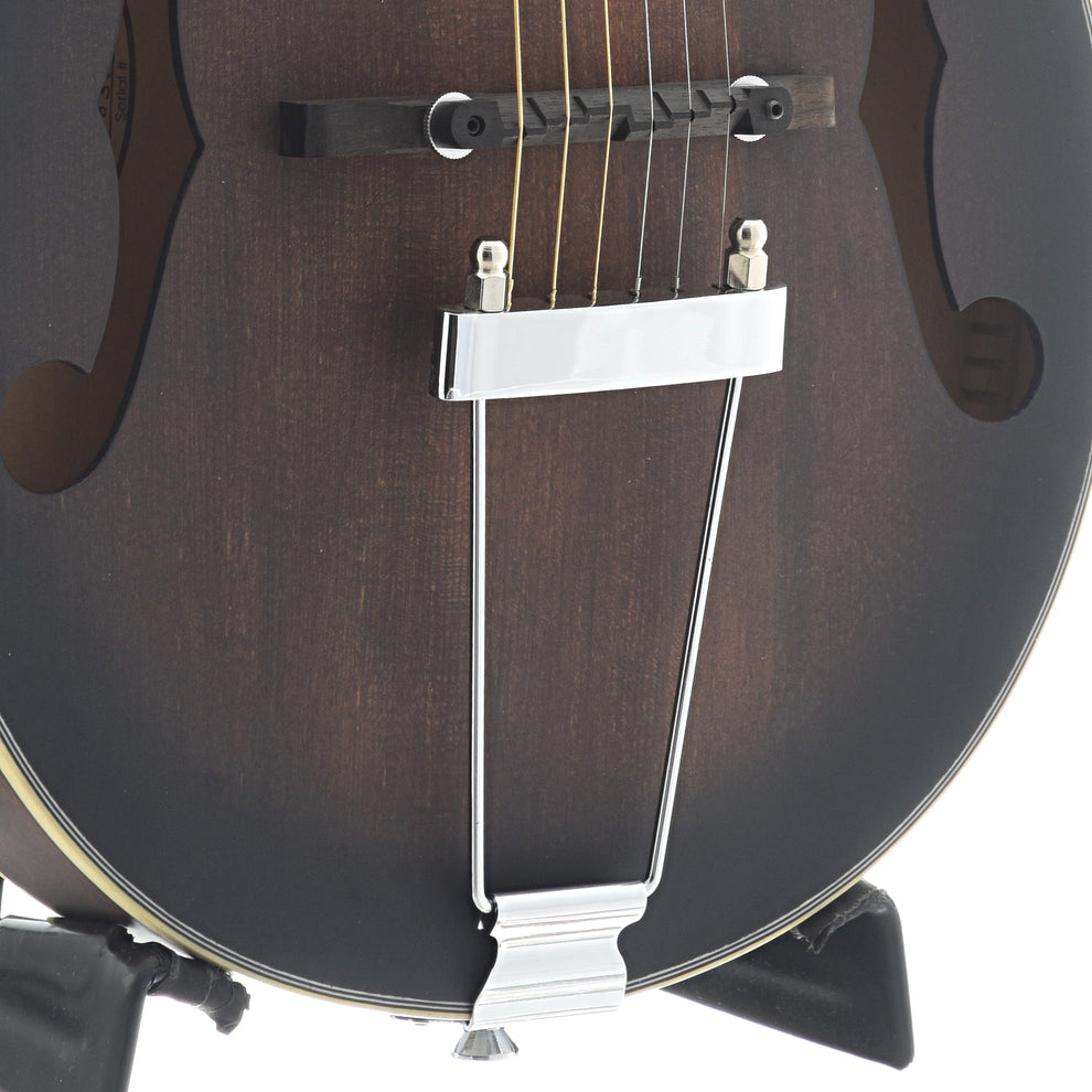 Gold Tone A-6 Manditar & Gigbag – Elderly Instruments