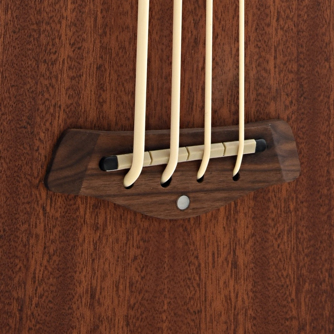 Image 3 of Gold Tone Fretless M-Bass & Gigbag - SKU# GTMBASSFL : Product Type Other Basses : Elderly Instruments