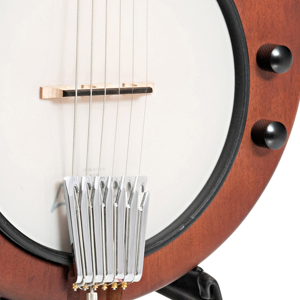 Image 4 of Gold Tone EB-6 6-String Electric Banjo & Gigbag - SKU# GTEB6 : Product Type 6-string Banjos : Elderly Instruments