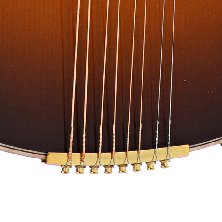Tailpiece of KR Strings Octolindo F Deluxe Octave Mandolin