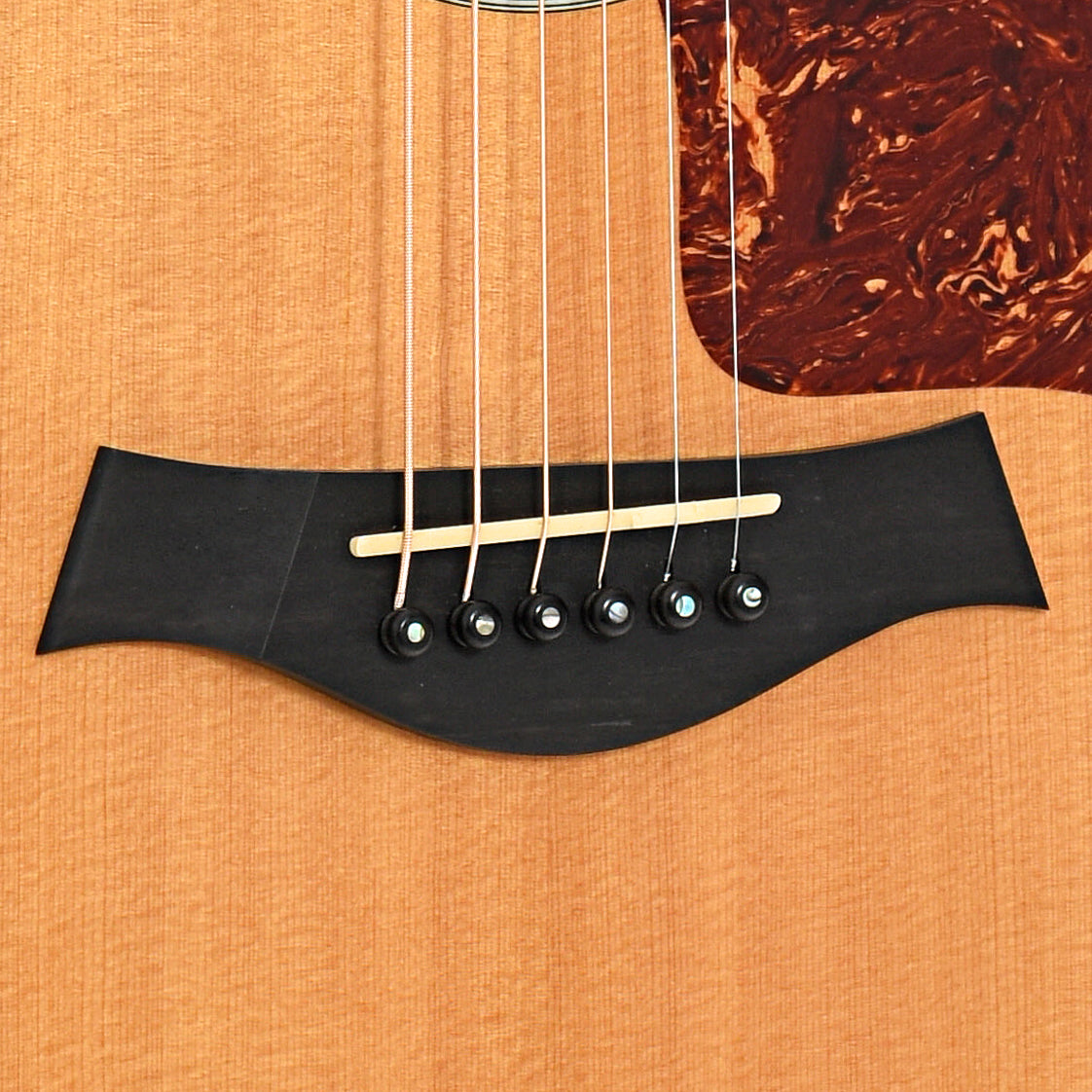 Image 4 of Taylor 600-SPEC (2003)- SKU# 20U-210763 : Product Type Flat-top Guitars : Elderly Instruments