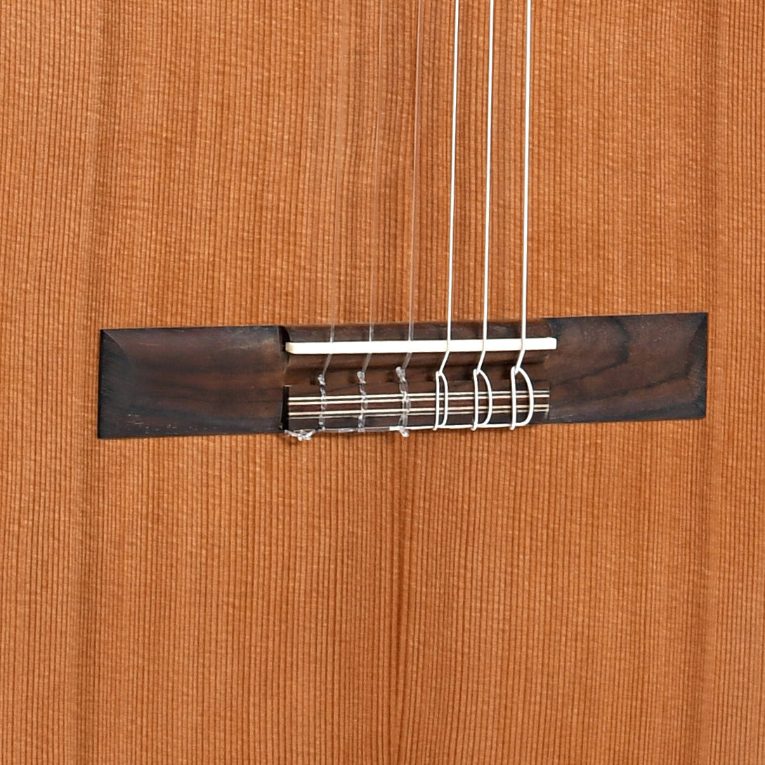 Image 4 of Cordoba C5-CE Lefty Classical Guitar - SKU# CORC5CEL : Product Type Classical & Flamenco Guitars : Elderly Instruments