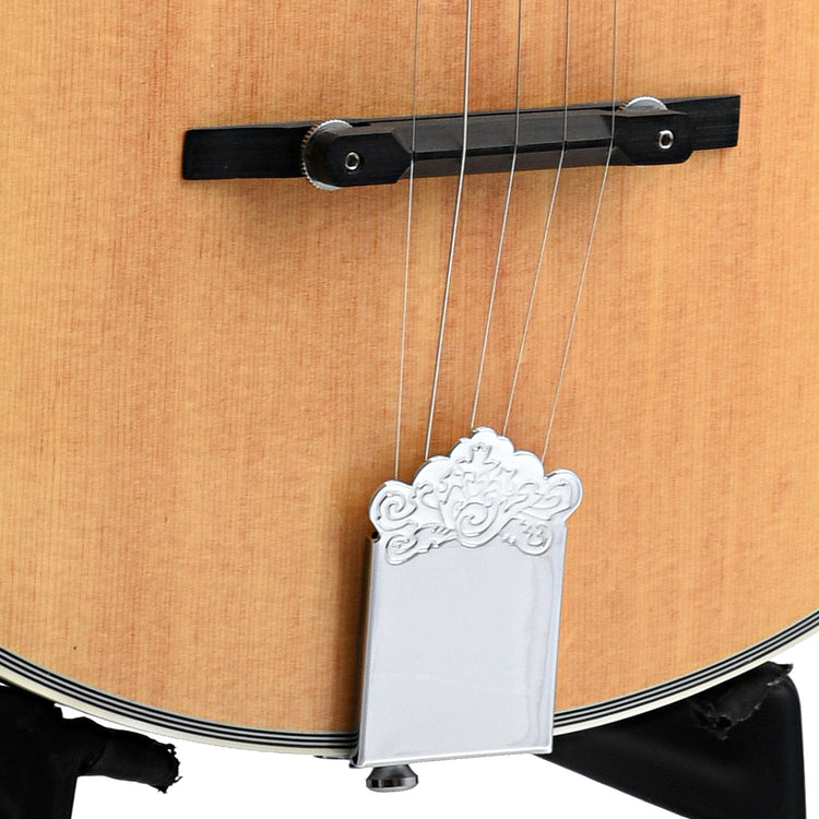 Image 4 of Gold Tone Banjola with Pickup & Gigbag, Fully Fretted - SKU# GTBJLPLUS : Product Type Other Banjos : Elderly Instruments