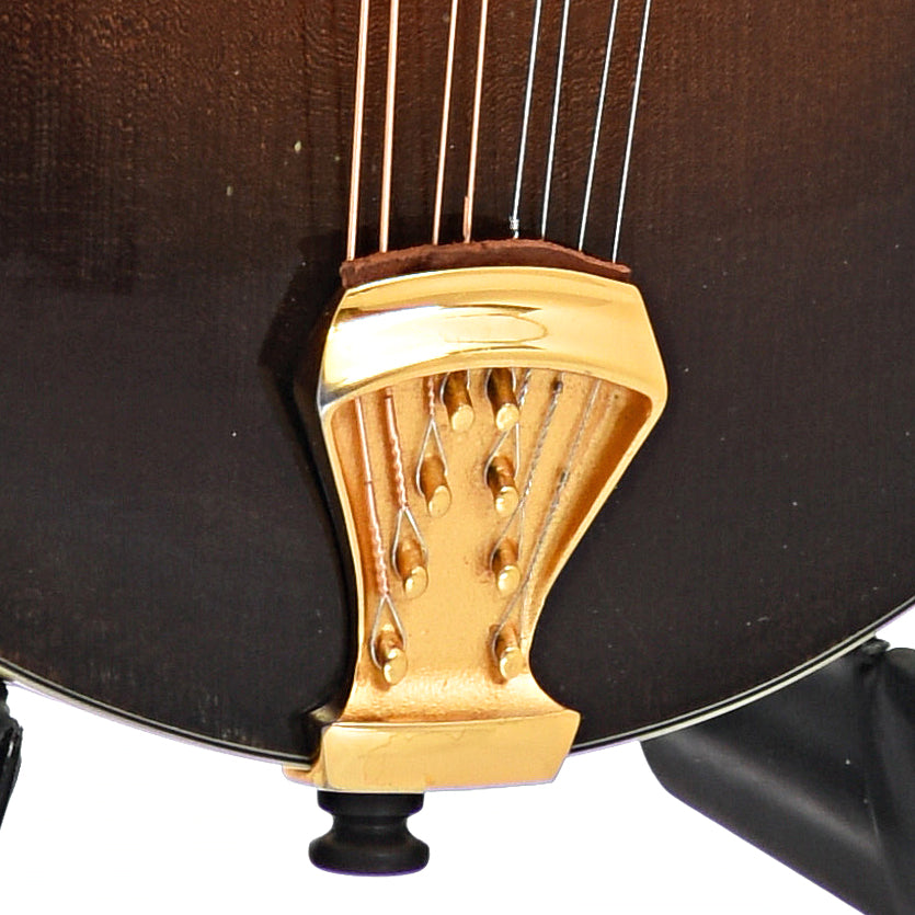 Tailpiece of Parker F-Model Mandolin