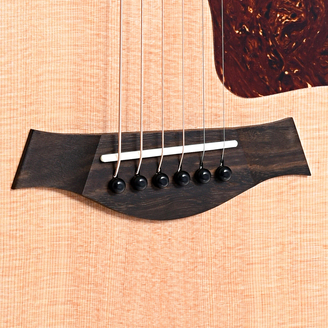 Bridge of Taylor GT Urban Ash Acoustic Guitar 