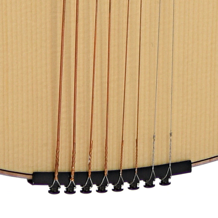Tailpiece of KR Strings Octolindo F Artist Octave Mandolin, Spruce & Rosewood