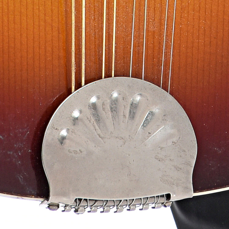 Tailpiece of Harmony A-Style Mandolin