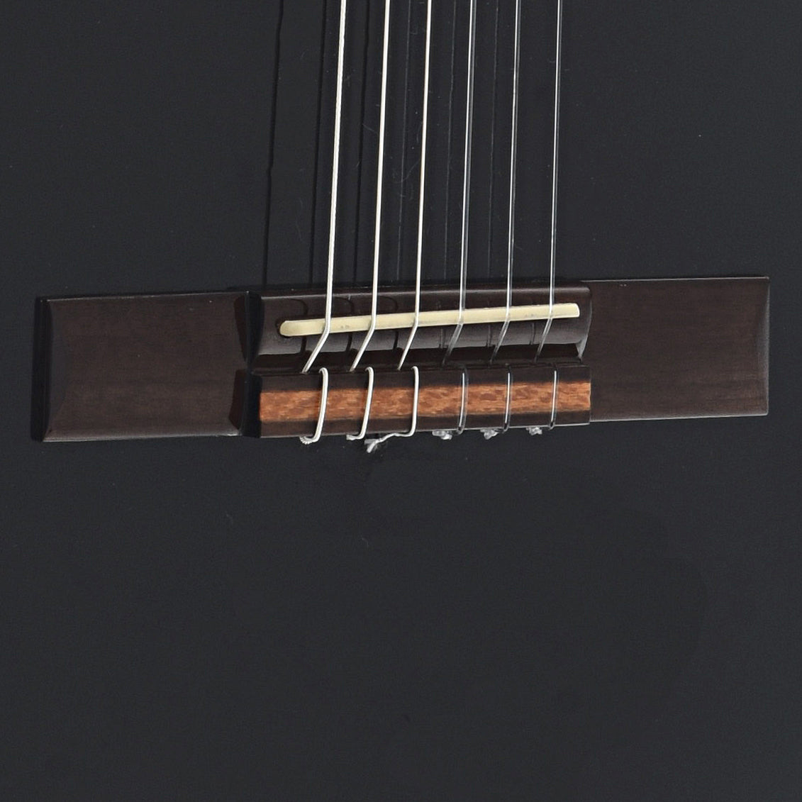 Image 3 of Ortega RCE141BK Family Pro Series Classical Guitar with Pickup - SKU# RCE141BK : Product Type Classical & Flamenco Guitars : Elderly Instruments