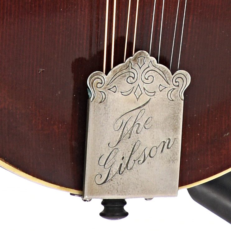 tailpiece of Gibson F-4 Mandolin 