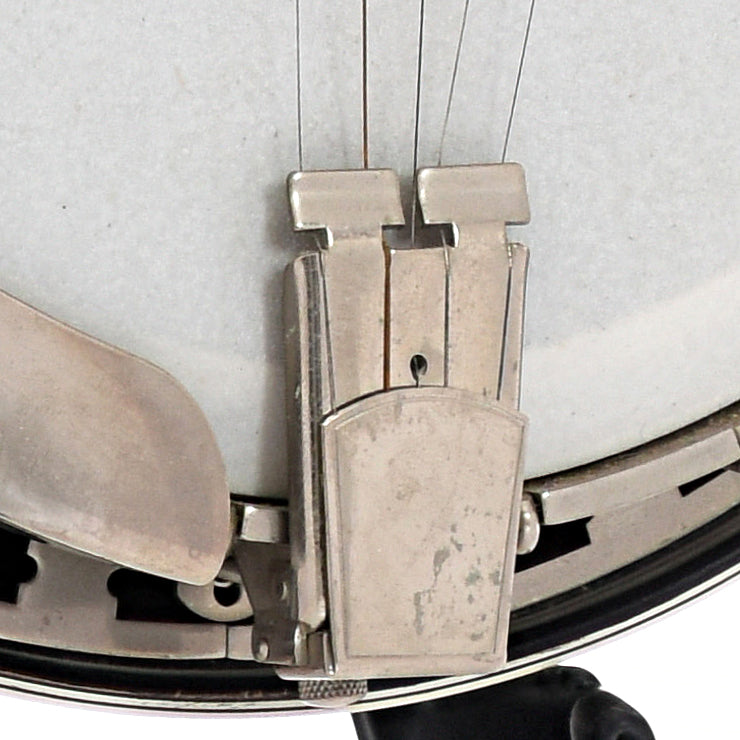 Tailpiece of Gold Star G11W Resonator Banjo