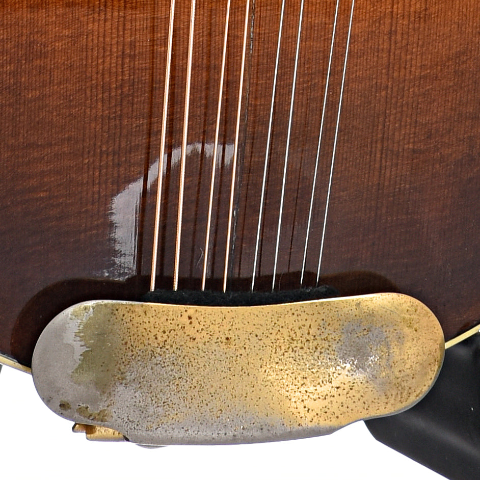 Tailpiece of Stelling Mandolin