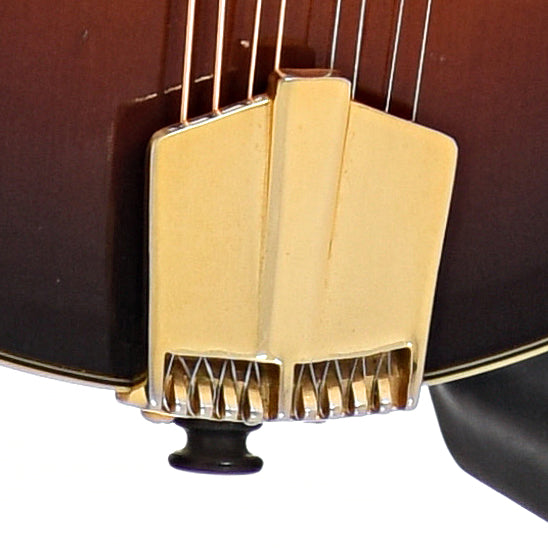Tailpiece of Eastman MD805 