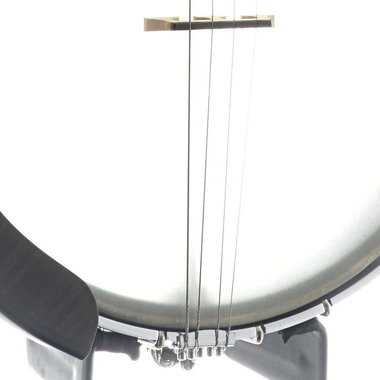 Image 3 of Gold Tone Tenor Banjo & Gigbag, 12" Rim, 19 Frets - SKU# GTIT19 : Product Type Tenor & Plectrum Banjos : Elderly Instruments