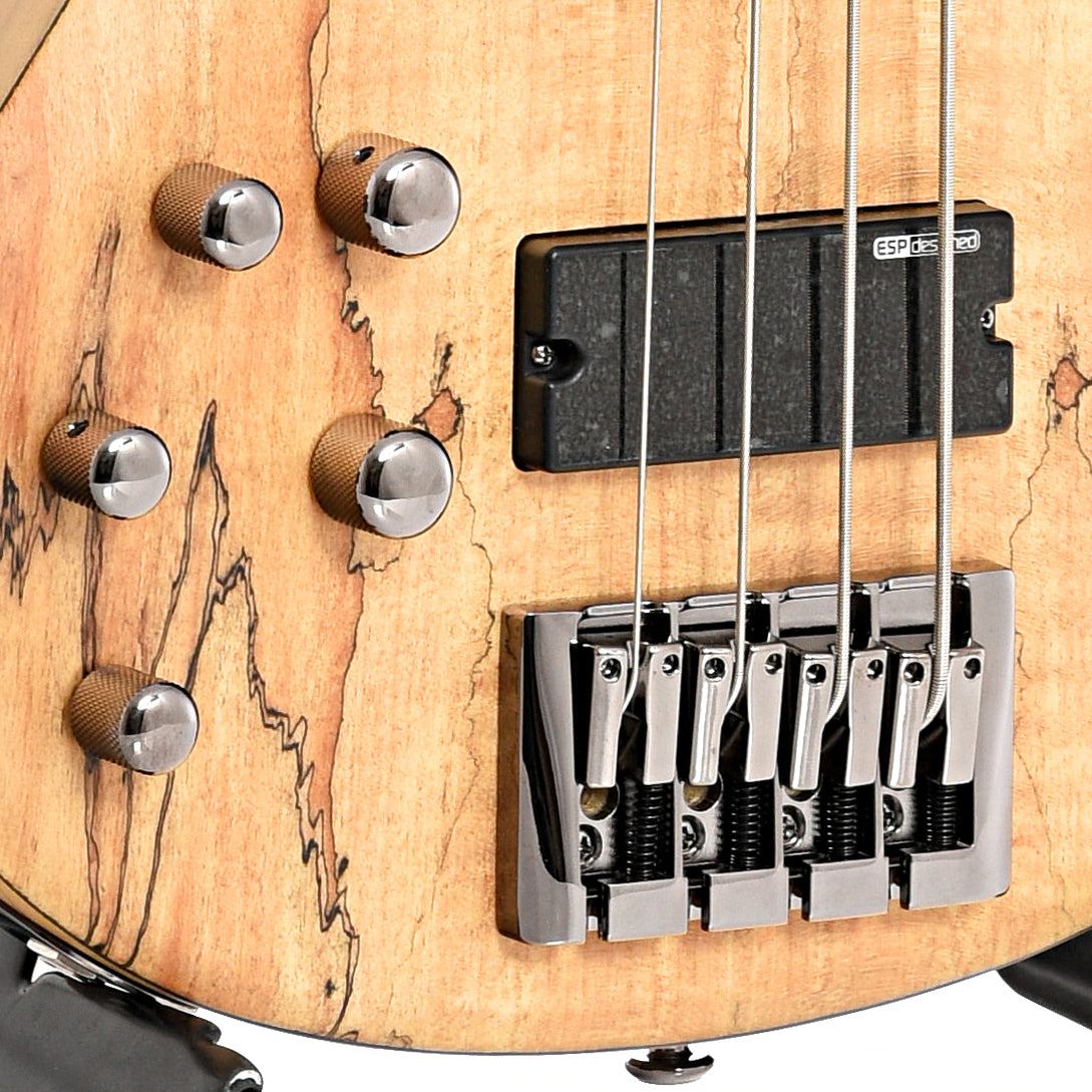 bridge of ESP LTD Left Handed B-204SM Spalted Maple Natural Satin 4-String Bass