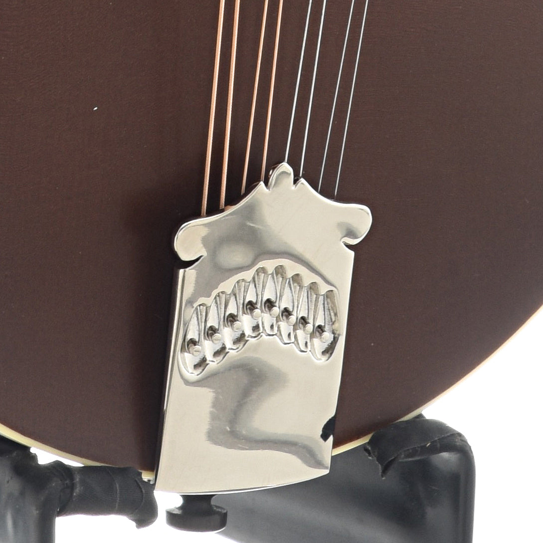 Image 4 of Collings MT O Oval-Hole Sheraton Brown Mandolin & Case, Ivoroid Binding, Satin Finish - SKU# CMTO-BI : Product Type Mandolins : Elderly Instruments