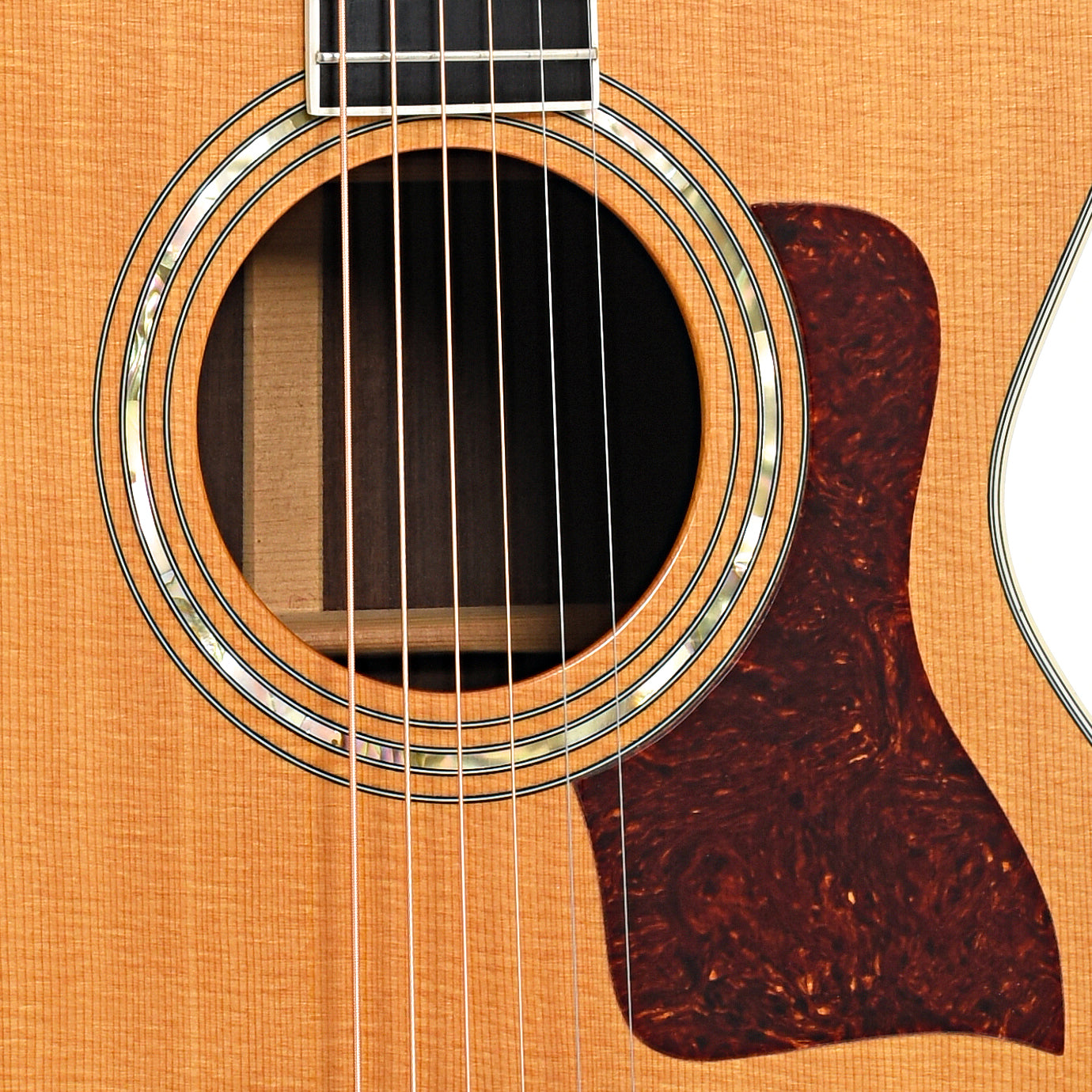 Sound hole of Taylor 812 Acoustic
