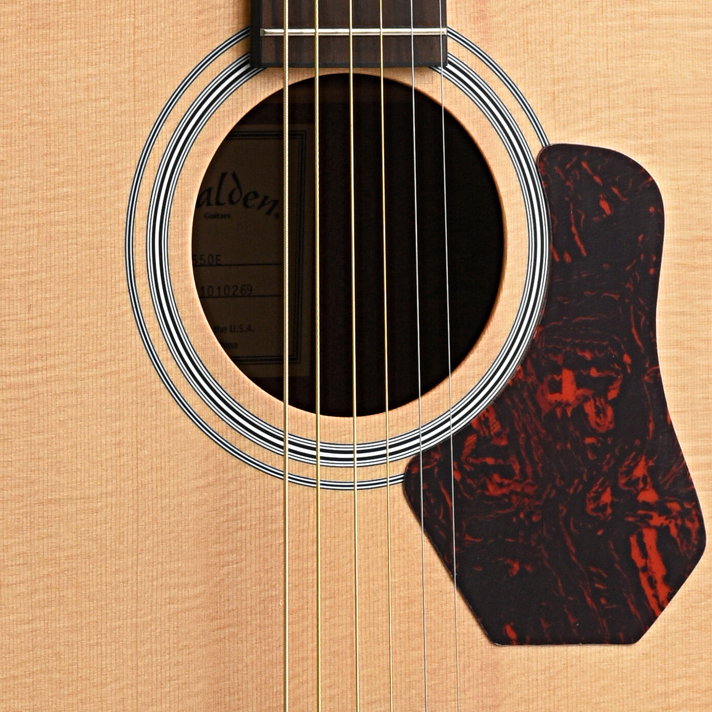 Image 5 of Walden Natura O550E Acoustic-Electric Guitar & Gigbag - SKU# O550E : Product Type Flat-top Guitars : Elderly Instruments