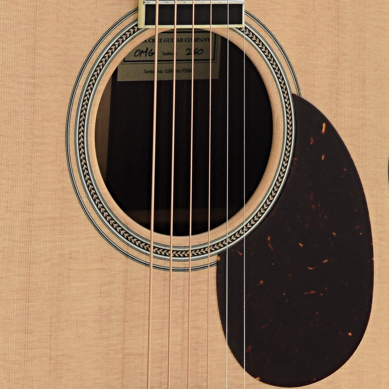 Image 4 of Santa Cruz Om Grand Guitar & Case - SKU# SCOMGRAND : Product Type Flat-top Guitars : Elderly Instruments