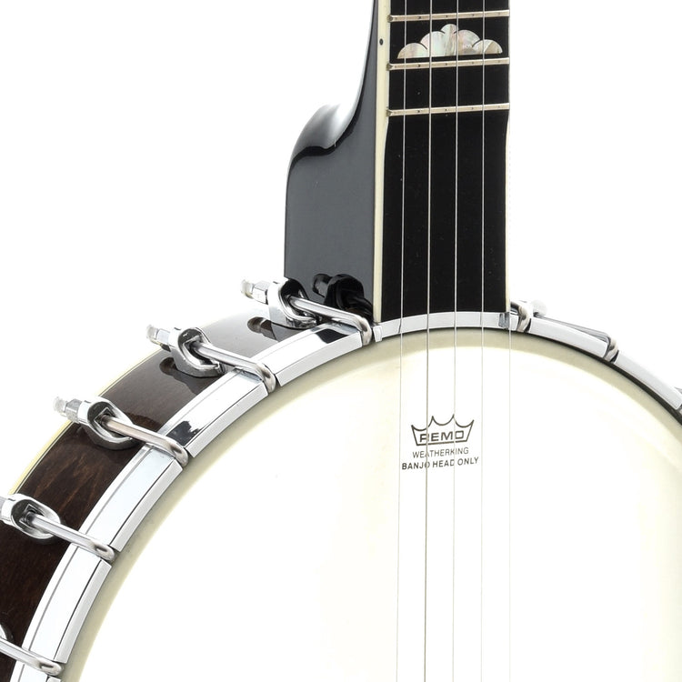 Scooped Fretboard of Gold Tone WL-250 White Laydie Openback Banjo