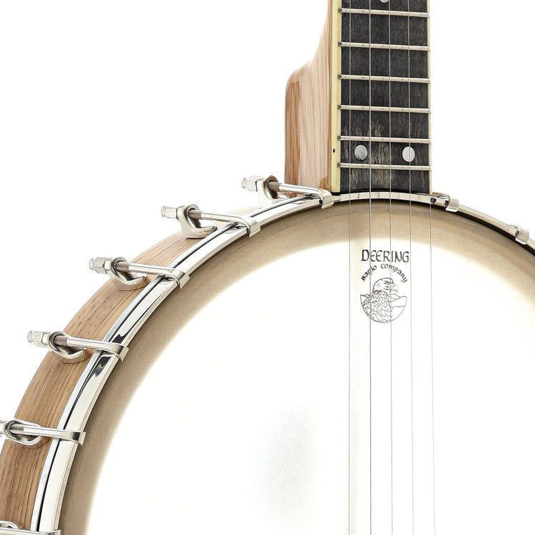 Image 4 of Vega White Oak Longneck, 12" Rim & Case by Deering - SKU# VEGAWOLN12 : Product Type Open Back Banjos : Elderly Instruments