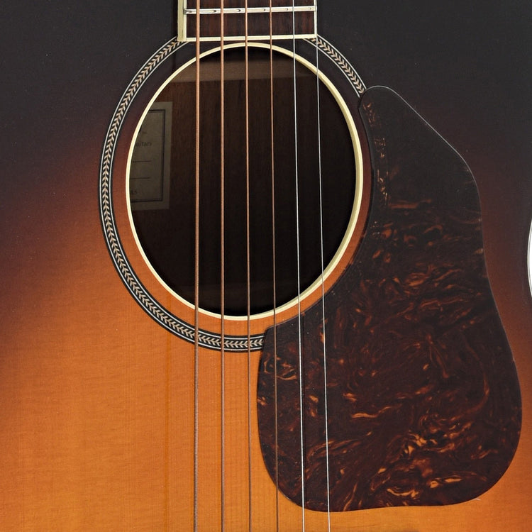 Image 4 of Waterloo WL-JK Dlx Jumbo King Deluxe Acoustic Guitar & Case - SKU# WLJKDLX : Product Type Flat-top Guitars : Elderly Instruments