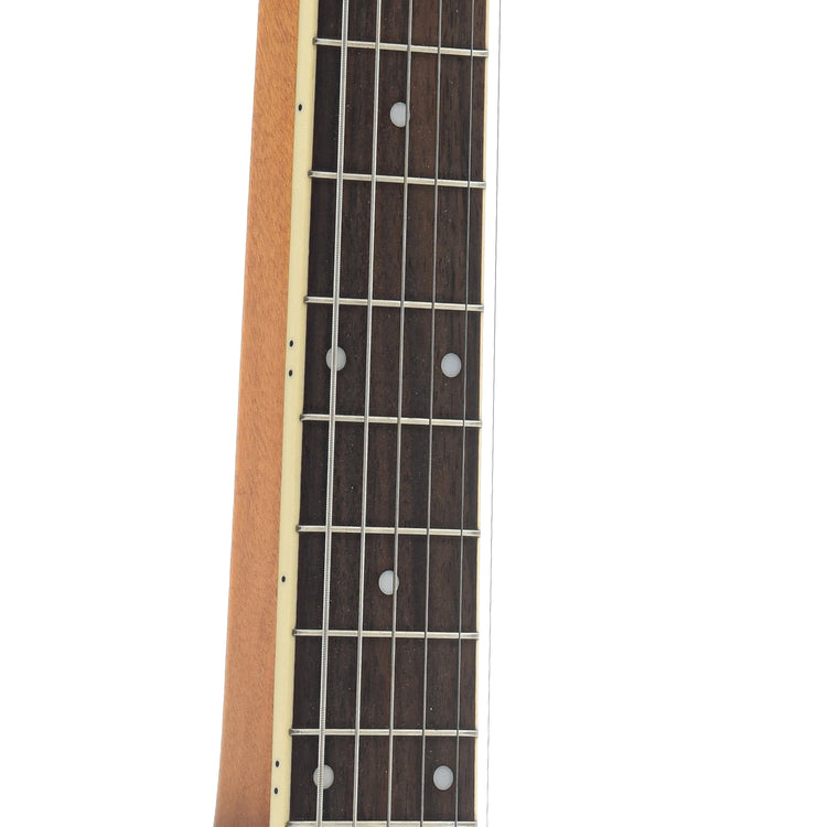fretboard of Gold Tone Lap Steel Guitar, 6-String