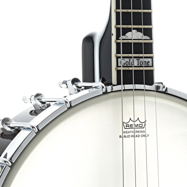 Gold Tone IT-250F Banjo ténor irlandais (marron vintage) : :  Instruments de musique, scène et studio