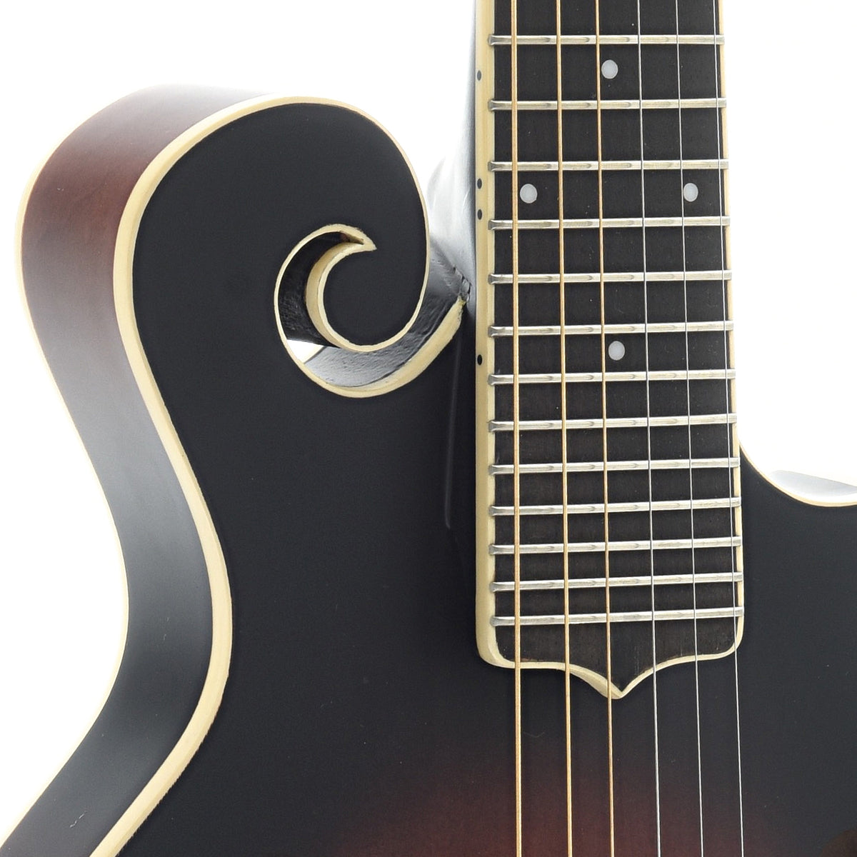 Manditar Instrument Gold Tone F-6 Acoustic-Electric 6-String Manditar & Case – Elderly ...