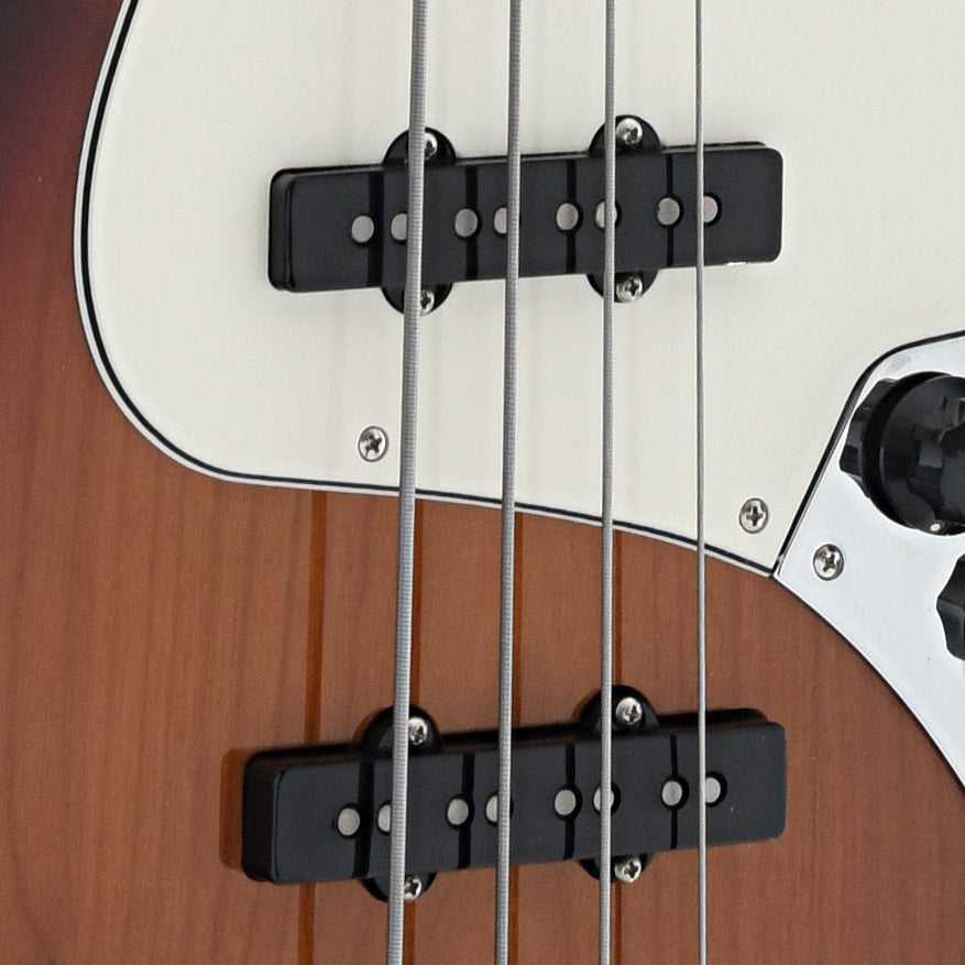 pickups of Fender Player Jazz Bass Fretless, 3 Color Sunburst