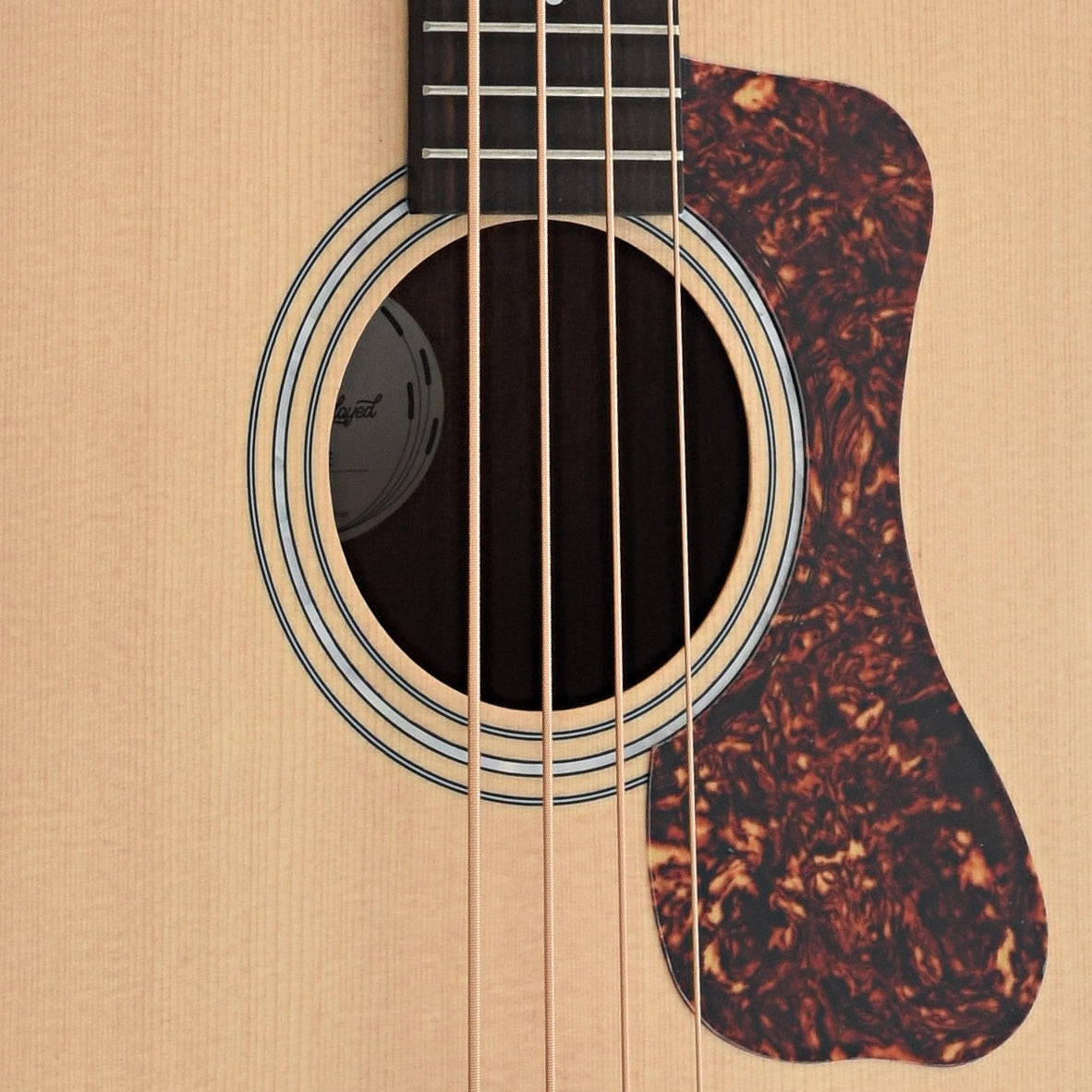 Image 4 of Guild B-240E Archback Acoustic Bass Guitar - SKU# GWB240E : Product Type Acoustic Bass Guitars : Elderly Instruments