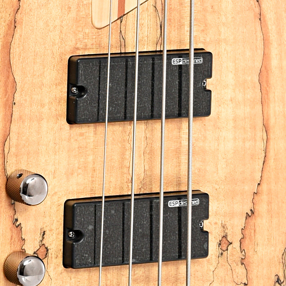 pickups of ESP LTD Left Handed B-204SM Spalted Maple Natural Satin 4-String Bass