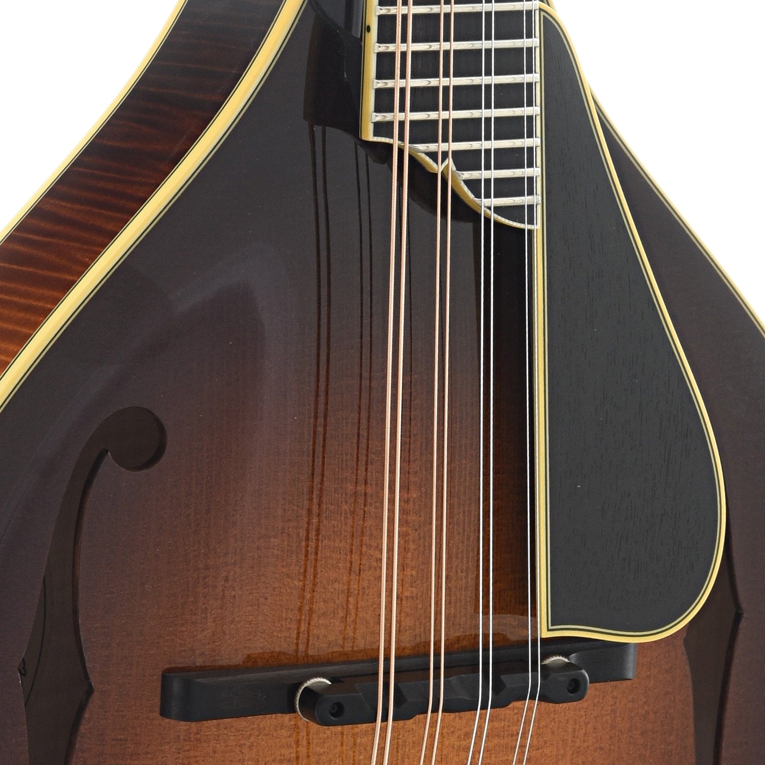 Image 4 of Collings MT2 Deluxe A-Model Mandolin & Case, Varnish Finish - SKU# CAM2V : Product Type Mandolins : Elderly Instruments