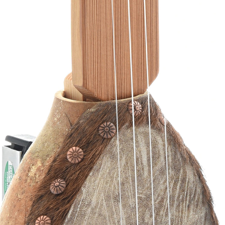 Image 4 of Menzies Gourd Banza - SKU# MBANZ8-1 : Product Type Other Banjos : Elderly Instruments