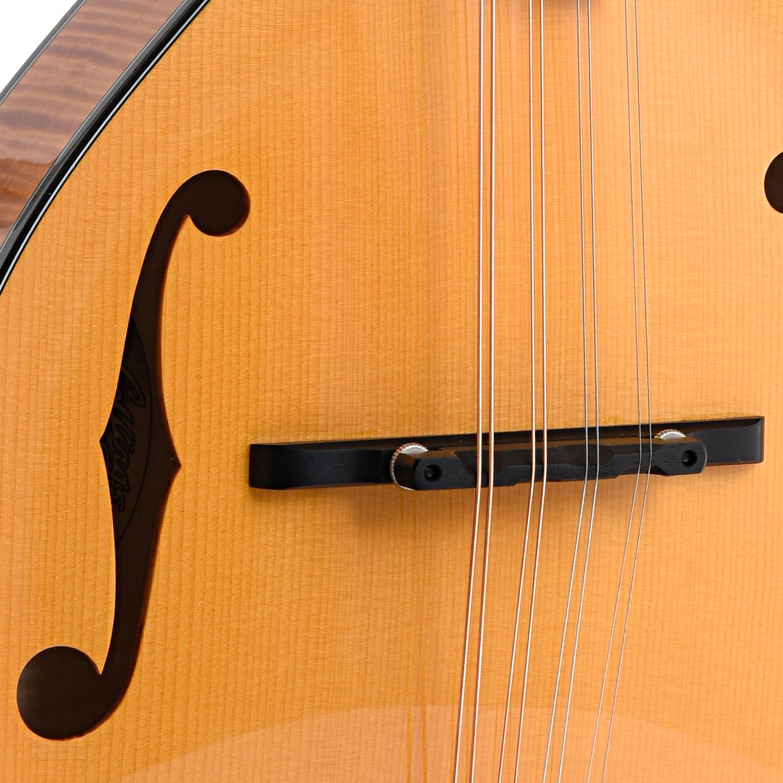 Image 5 of Collings MT2 A-Model Mandolin & Case, Honey Amber - SKU# CAM2-HA : Product Type Mandolins : Elderly Instruments