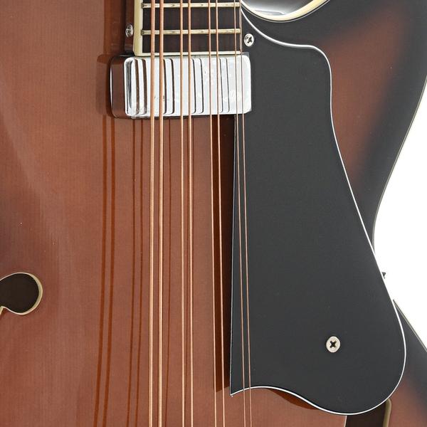 Pickguard of Gold Tone Acoustic-Electric Mandocello