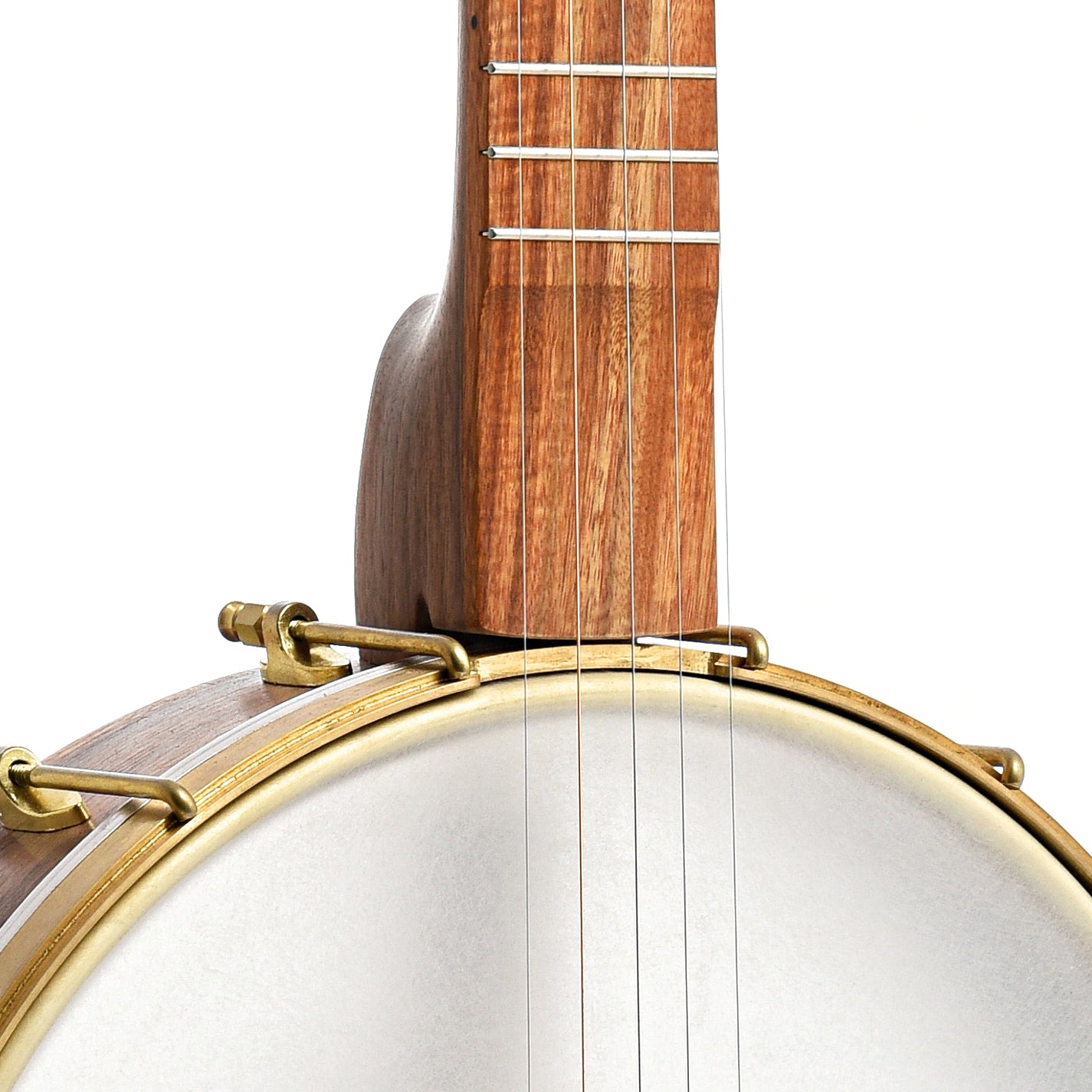 Image 4 of Dogwood Banjo Co. 12" Openback Banjo, No. 163 - SKU# DW163 : Product Type Open Back Banjos : Elderly Instruments