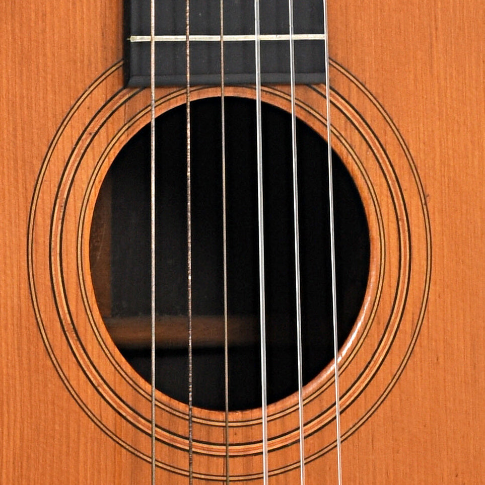 Soundhole of Washburn Model 1895