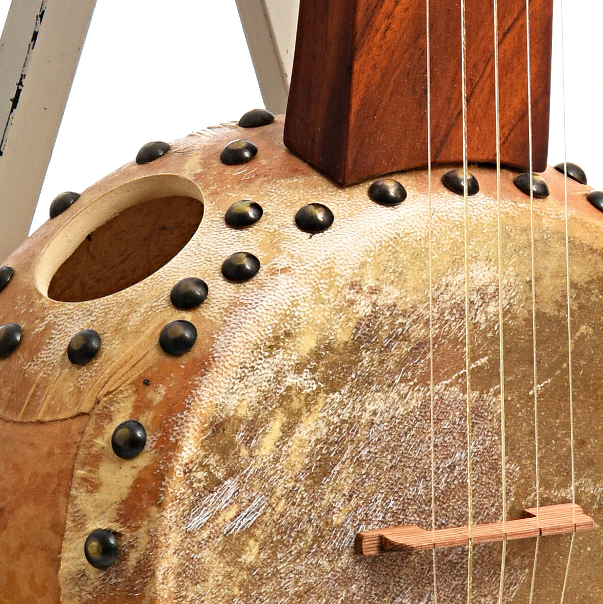 Image 5 of Menzies Fretless Gourd Banjo #460 - SKU# MGB85-460 : Product Type Other Banjos : Elderly Instruments