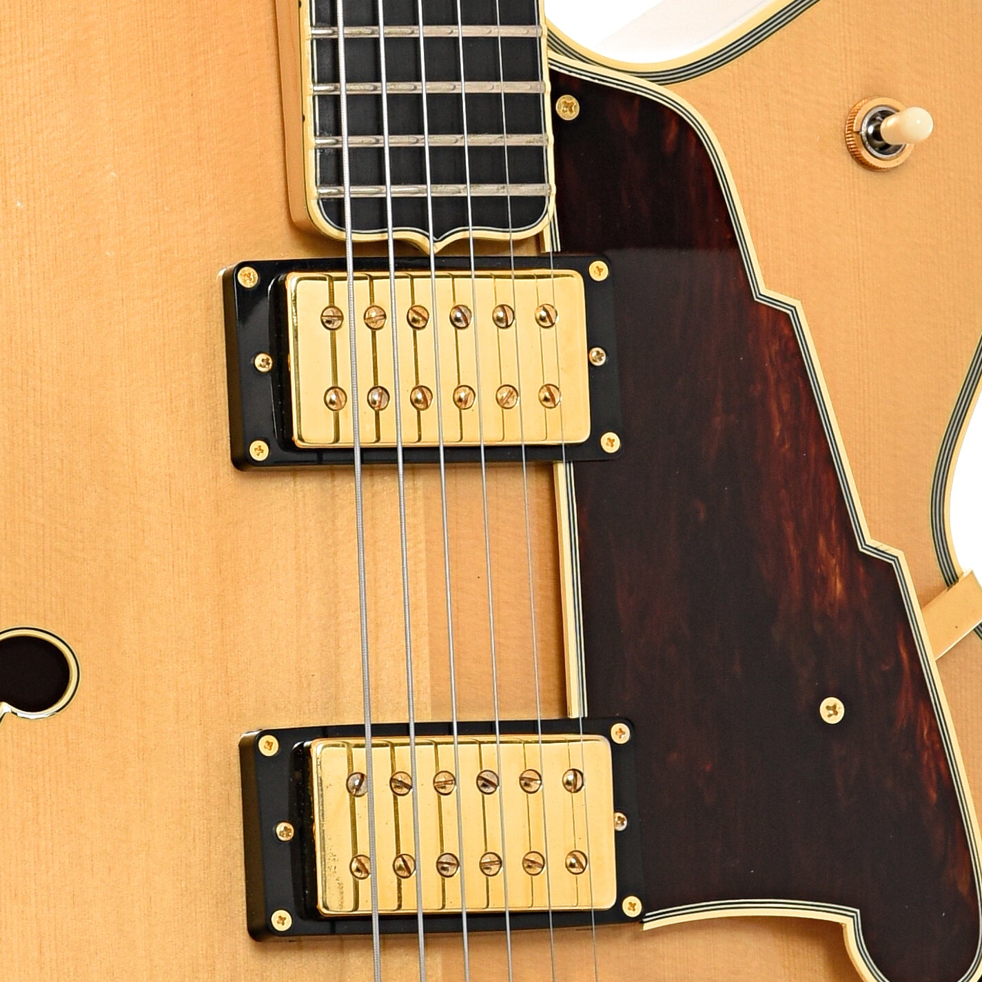Pickups of D'Angelico NYL-2 DH