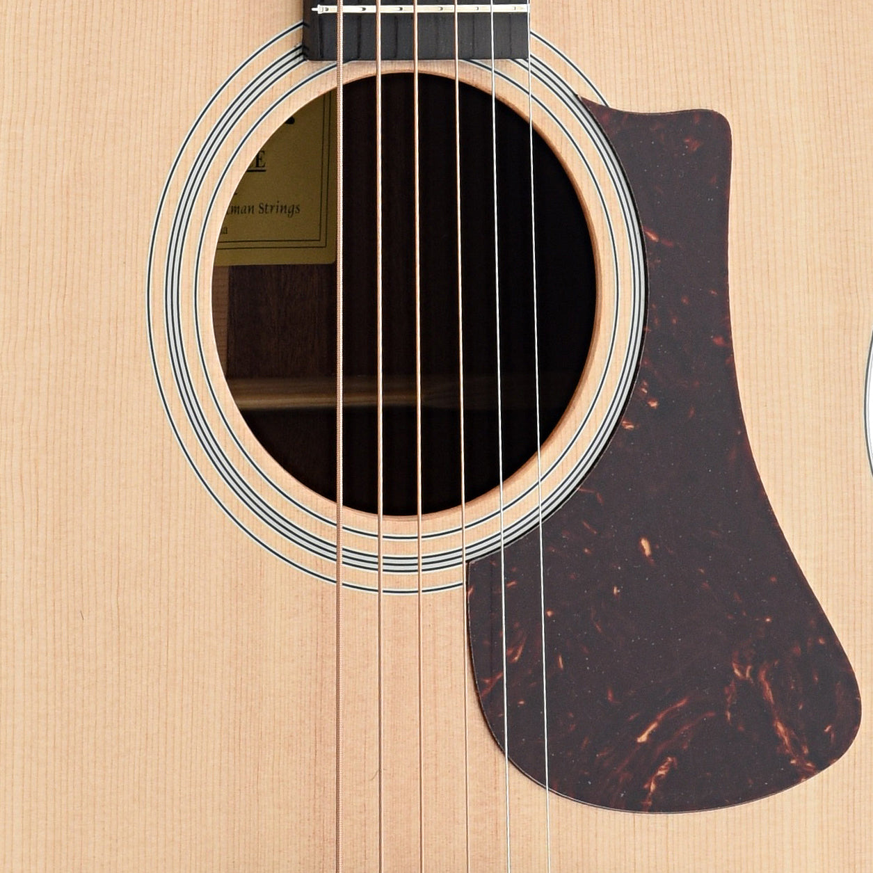 Soundhole and Pickguard of Eastman AC122-1CE Acoustic Guitar