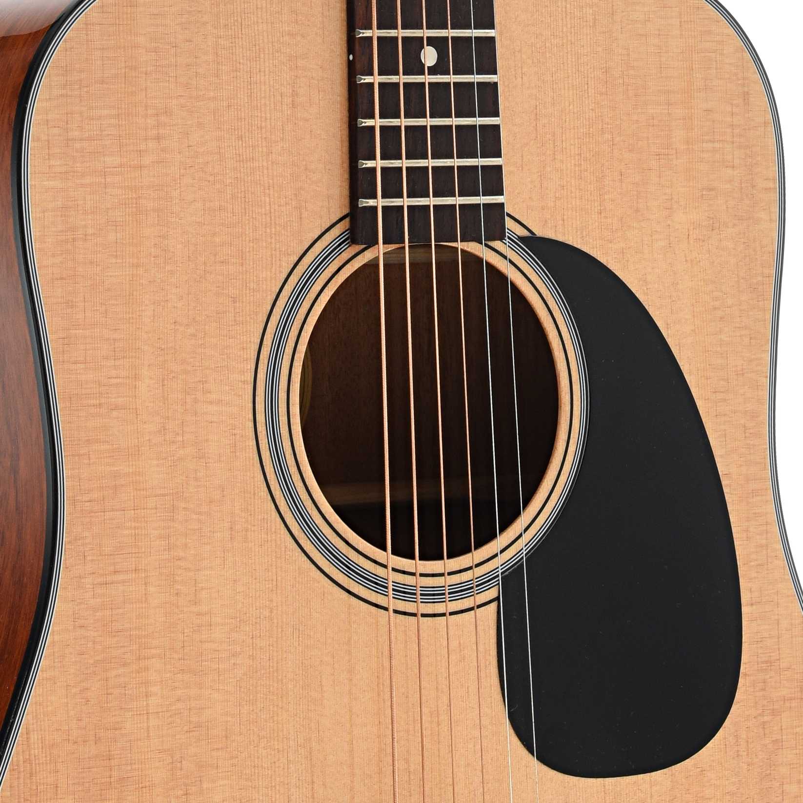 sound hole of Blueridge Contemporary Series BR-40 Dreadnought