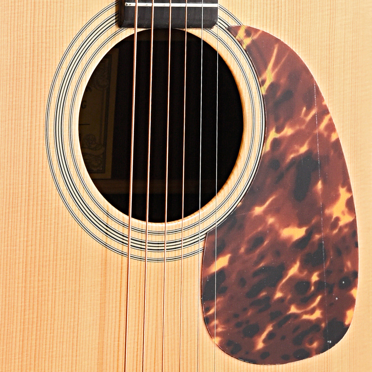 Soundhole and Pickguard of Recording King RD-328 Rosewood Dreadnought Acoustic Guitar 