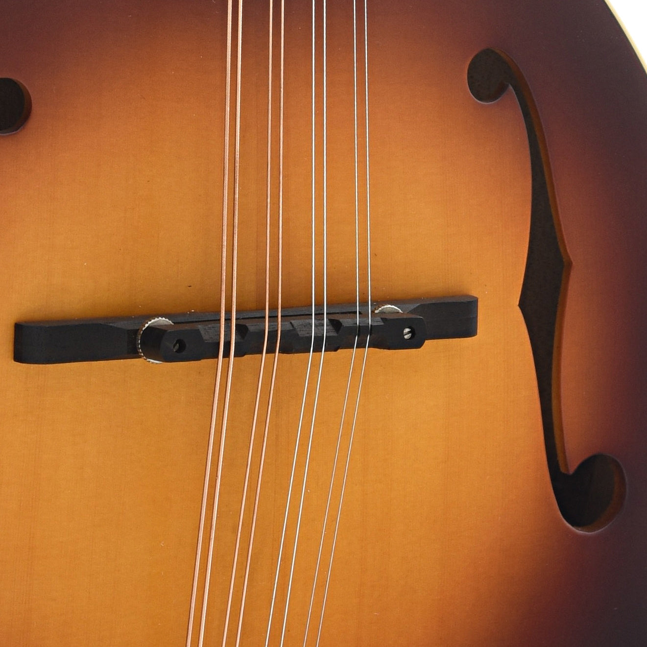 Bridge of The Loar LM-590-MS Mandolin
