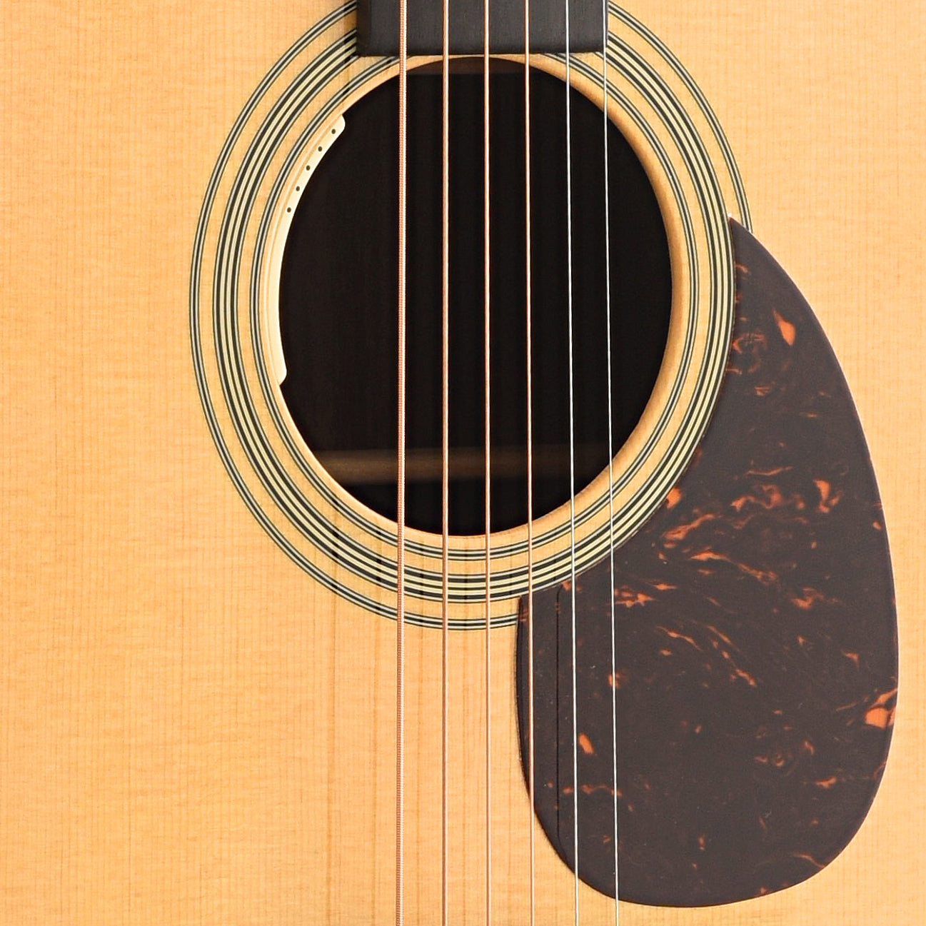 Soundhole and Pickguard of Martin OM-28E Guitar 