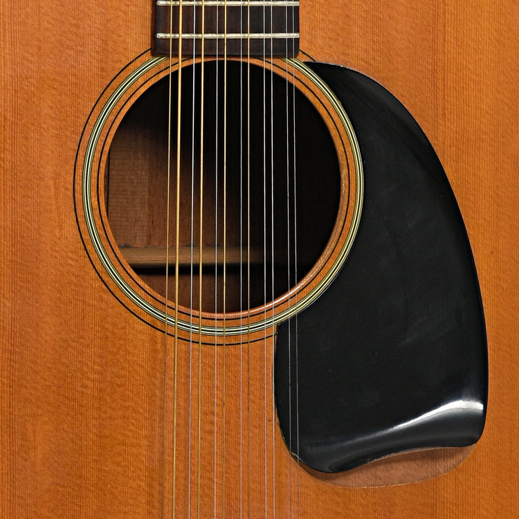 Soundhole and pickguard of Martin D12-20 12-String 