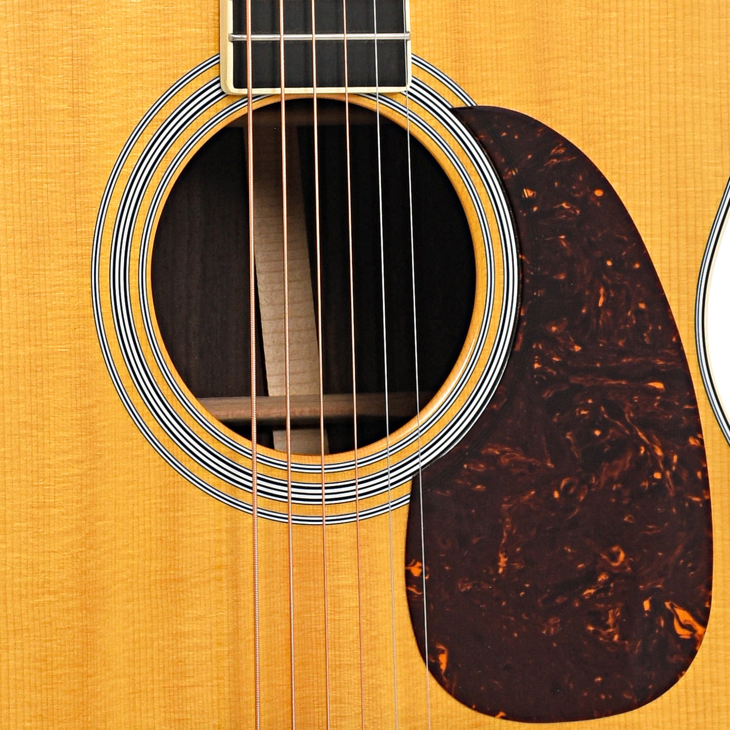 Sound hole and pickguard of Martin M-36 Acoustic Guitar 