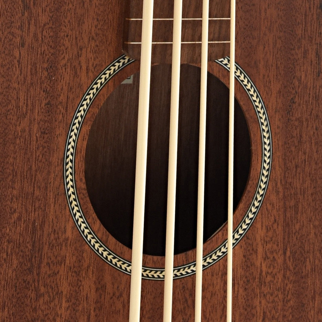 Image 4 of Gold Tone Fretless M-Bass & Gigbag - SKU# GTMBASSFL : Product Type Other Basses : Elderly Instruments