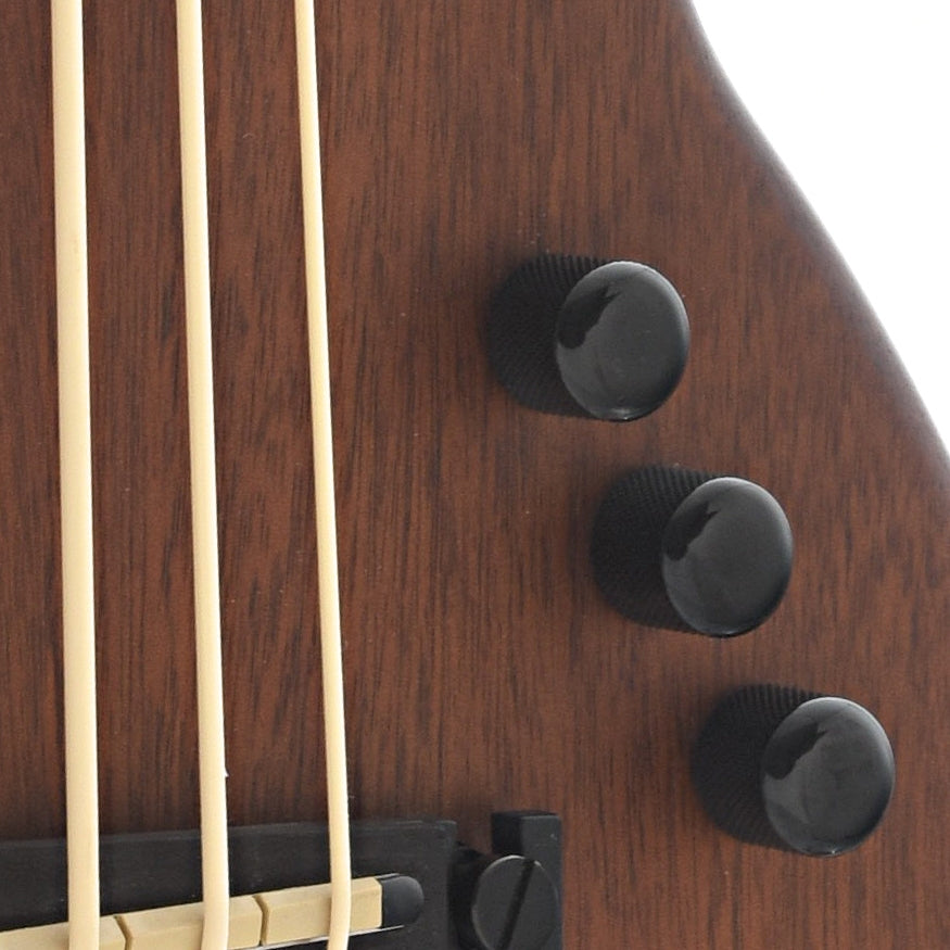 controls of Gold Tone ME-BassFL Fretless Solid Body MicroBass