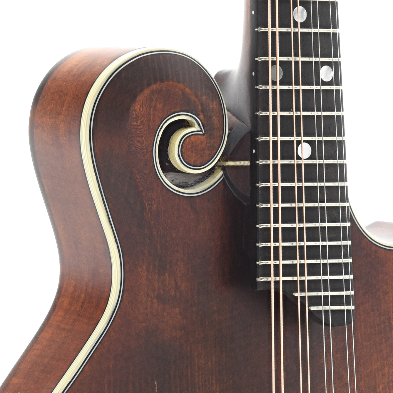 Front Neck Joint of Eastman MD315 Classic Mandolin 